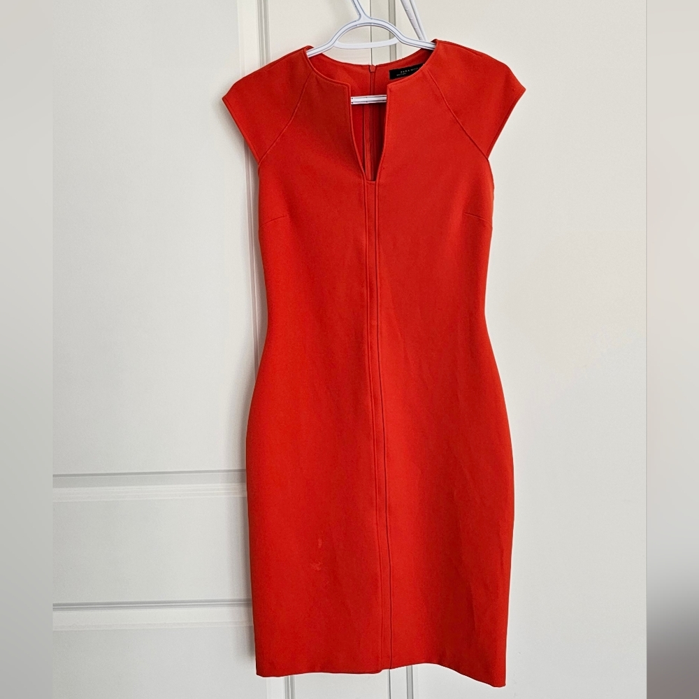 ZARA Bodycon Dress